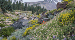Desktop Screenshot of mountshastaguide.com